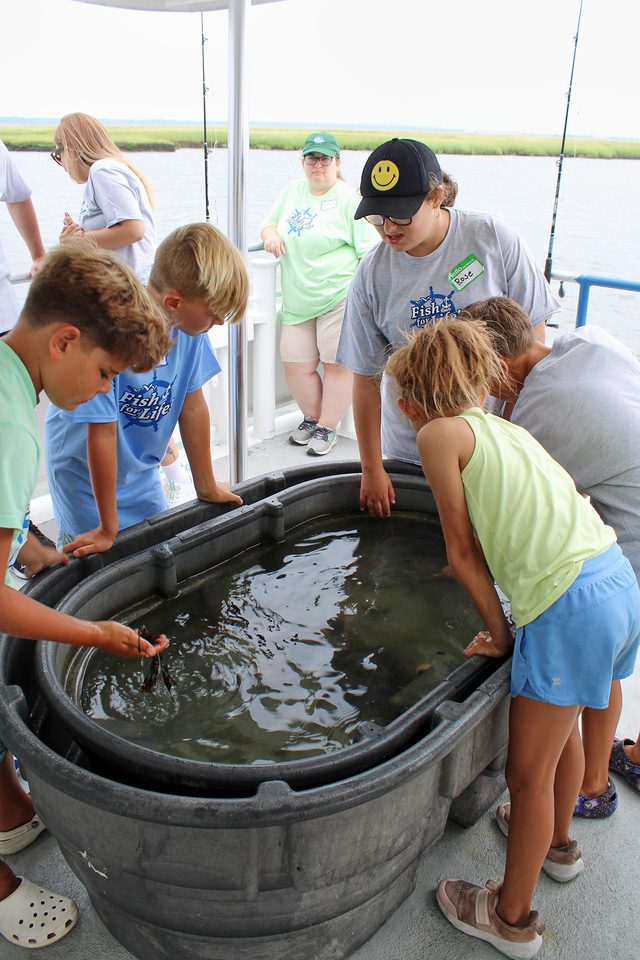 A group of children stands around a large plastic tub with sea creatures inside.