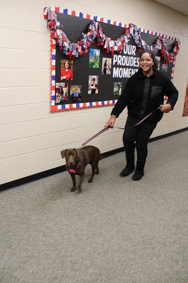 A female student is walking a medium-sized brown dog on a leash down the hallway.